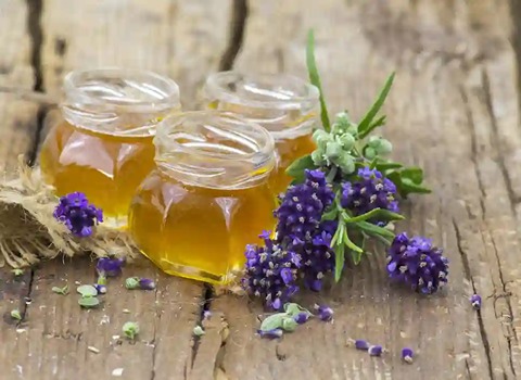 تصویر 4 از قیمت خرید عسل آویشن ارگانیک عمده به صرفه و ارزان